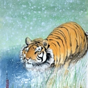 Tiger-02