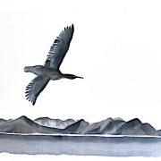 sumi-e-lofoten-050-600